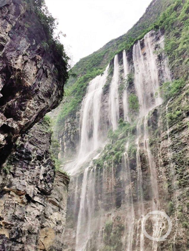 春雨直播app